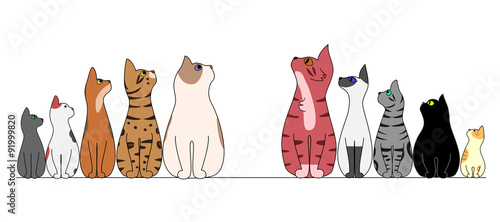 cats in a row,looking center