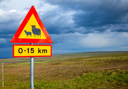 Sheep Crossing road sign