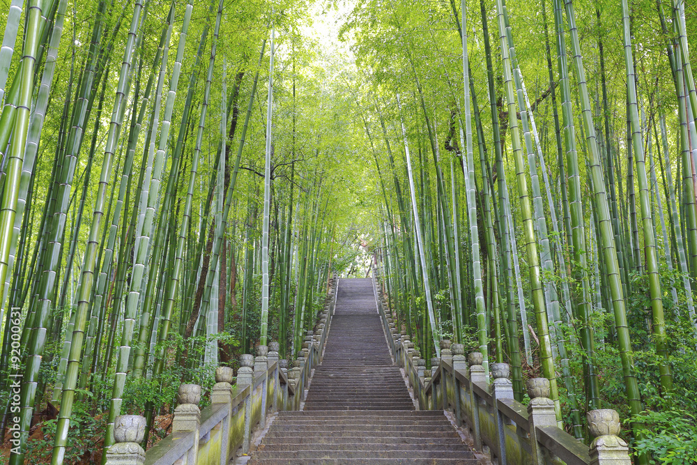 Fototapeta premium Scenic mountaineer step stairs next to the bamboo forest