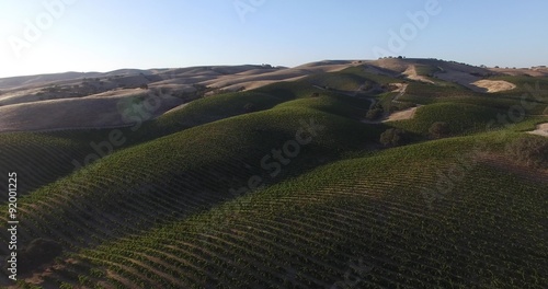 Rolling green hills vineyard vine agriculture land aerial view beautiful landscape california wine country 