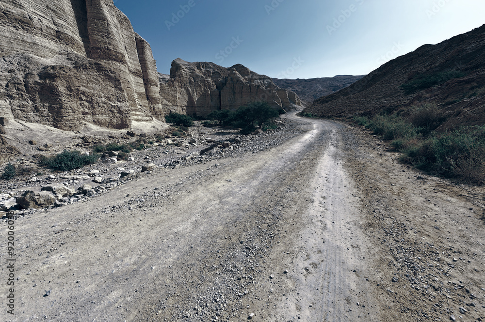 Road in Desert Road in Desert
