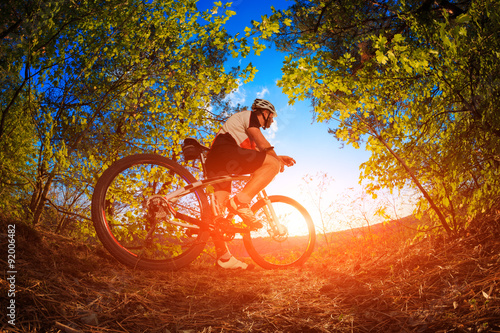 Man riding a bicycle in nature 