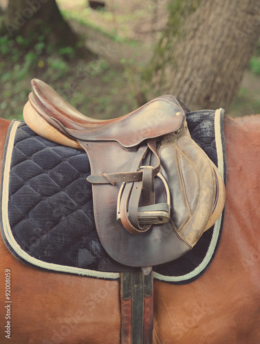 Detail of a horse saddle