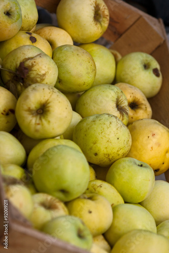 Fine harvest of apples!/ Lots and lots of yellow and green ripe apples in a wooden box.