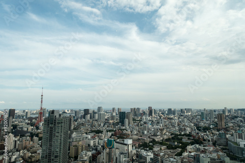 東京タワーと街並の俯瞰風景 © kentastock