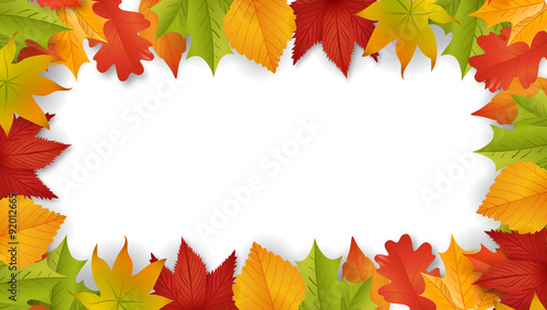 Herbst / Hintergrund / Vektor / Laub