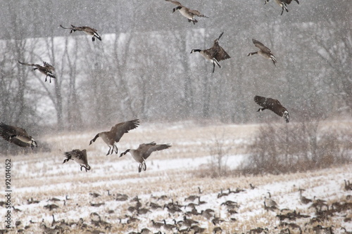 Canadas landing