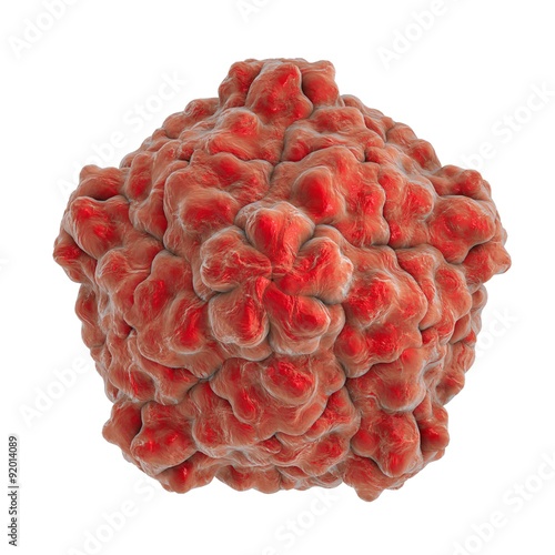 Tobacco ringspot virus isolated on white background. A model is built using data of viral macromolecular structure furnished by Protein Data Bank (PDB 1A6C) photo