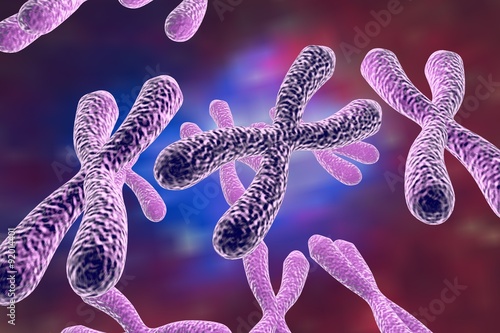 Background with chromosomes photo