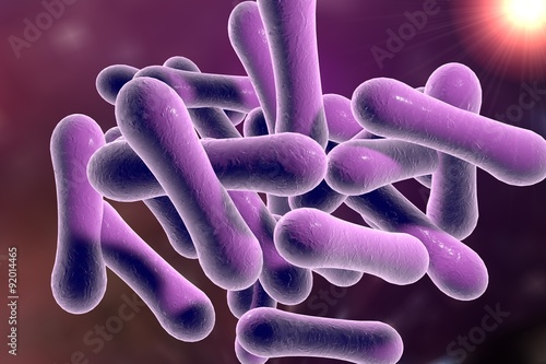 Microscopic illustration of Corynebacterium diphtheriae, Gram-positive rod-shaped bacterium which causes respiratory infection diphtheria photo