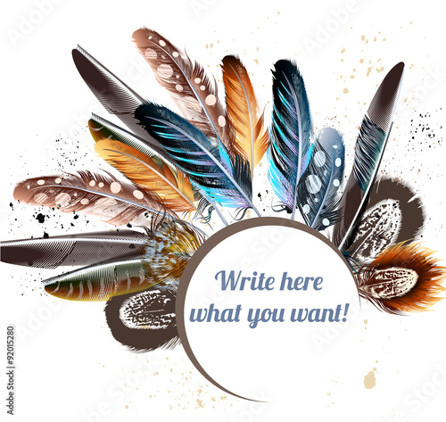 Vector background with colorful feathers