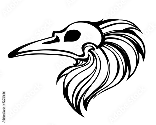raven skull outline