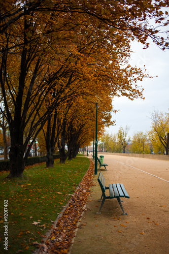 Park in Autumn © bluebeat76