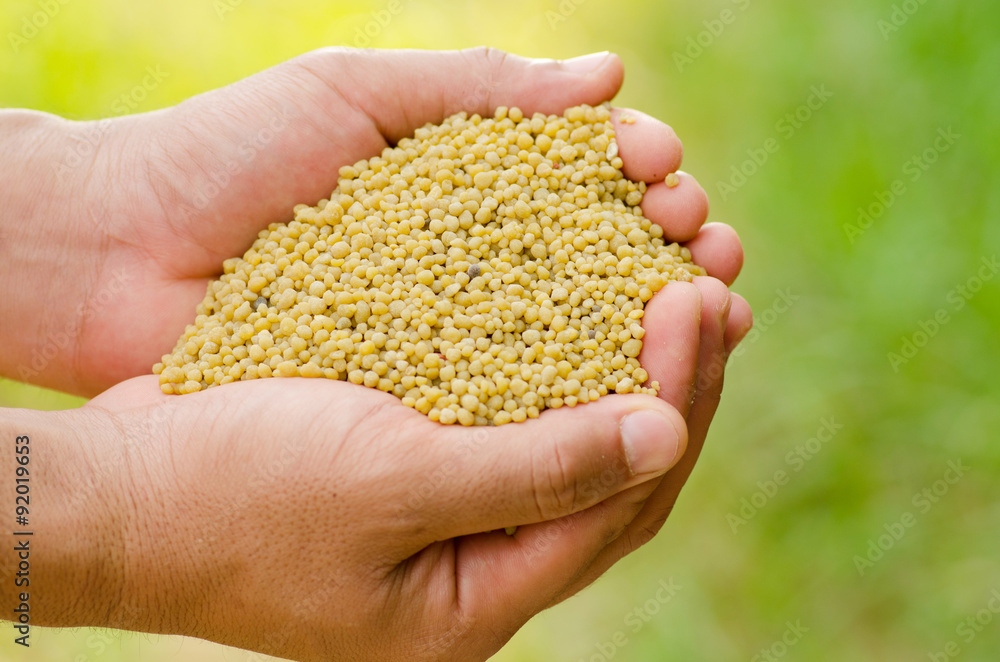 farmer hand holding plant chemical fertilizer over green background farmer hand holding plant chemical fertilizer over green background