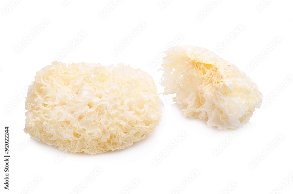 Chinese food tremella fuciformis white fungus isolated