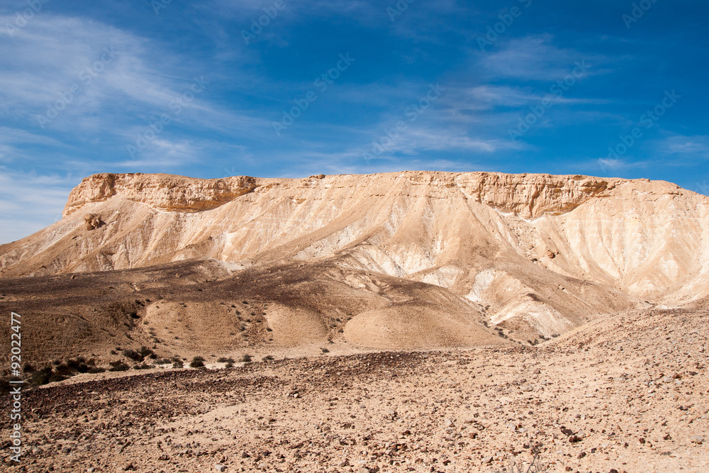 Naklejka premium Travel in Negev desert, Israel
