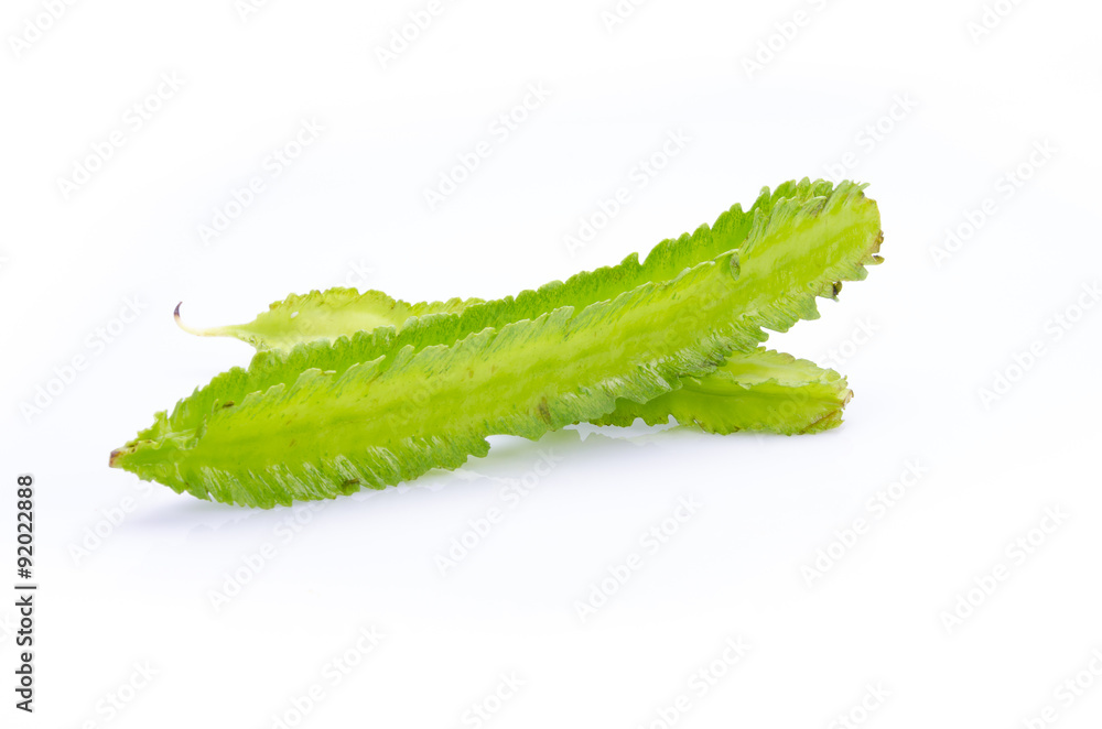 Young Winged Beans ;Psophocarpus tetragonolobus Linn Young Winged Beans ;Psophocarpus tetragonolobus Linn