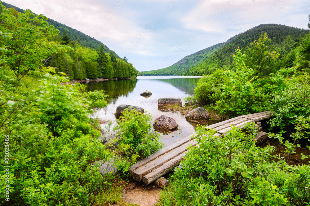 Fototapeta premium Acadia National Park