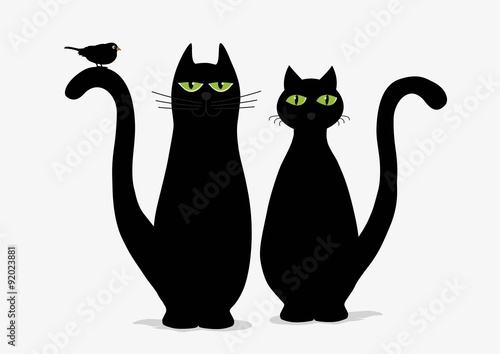 Photography Two cute black cats and bird