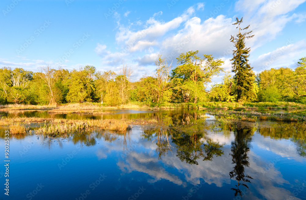 Nisqually National Wildlife Refuge