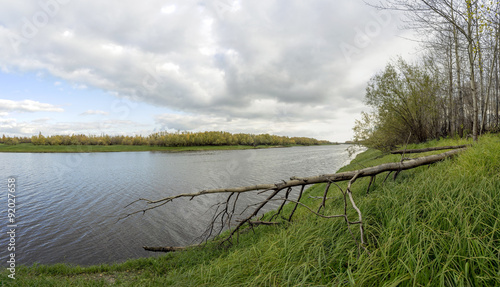 On a river with  fallen tree