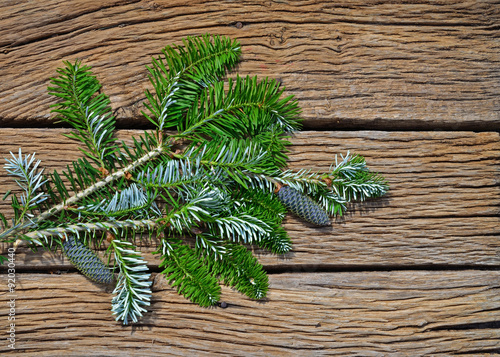  fir cones and branches on wooden background photo