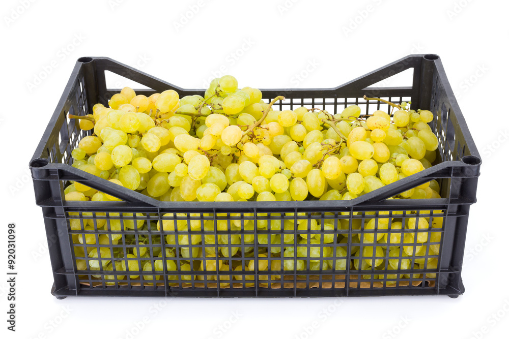 White table grapes (Vitis) in plastic crate