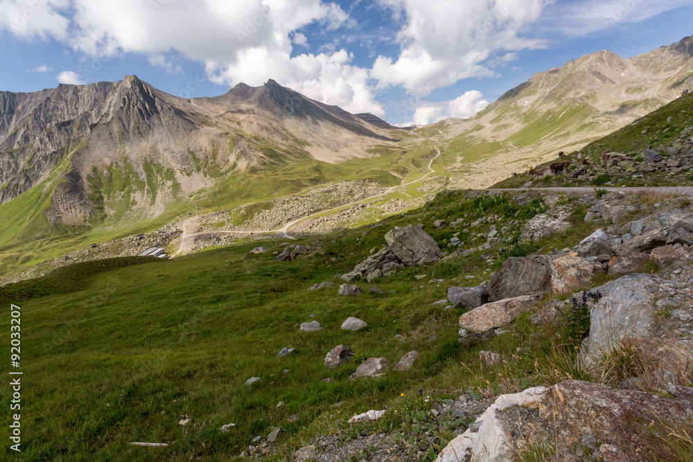 Fototapeta premium Piste et vallée en montagne