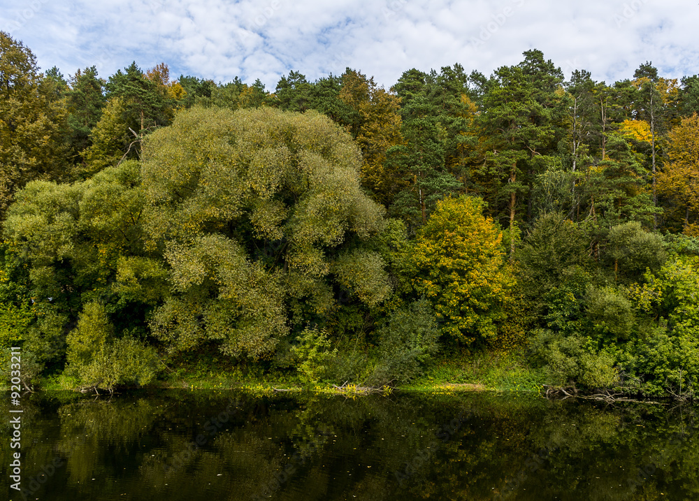 Beautiful autumn landscape, dry trees, cloudy sky, tree Beautiful autumn landscape, dry trees, cloudy sky, tree