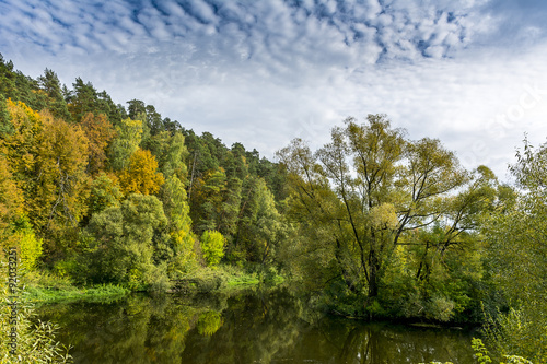 Beautiful autumn landscape, dry trees, cloudy sky, tree