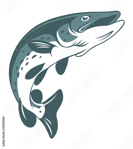 ß icons pike fishing