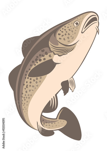 cod fish