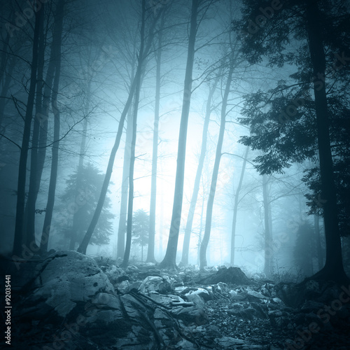 Fantasy turquoise blue light color foggy forest landscape scene background. 