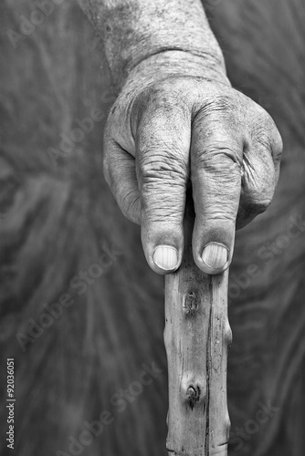 Hands and stick © Tom Pavlasek