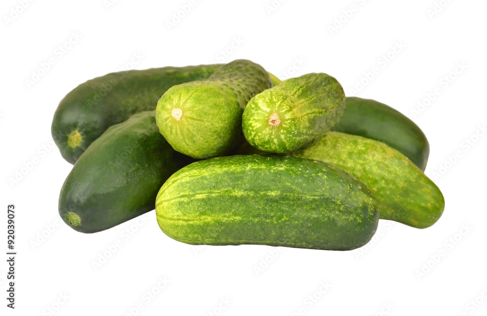 Fresh green cucumber gherkin, isolated on a white, DOF Fresh green cucumber gherkin, isolated on a white, DOF