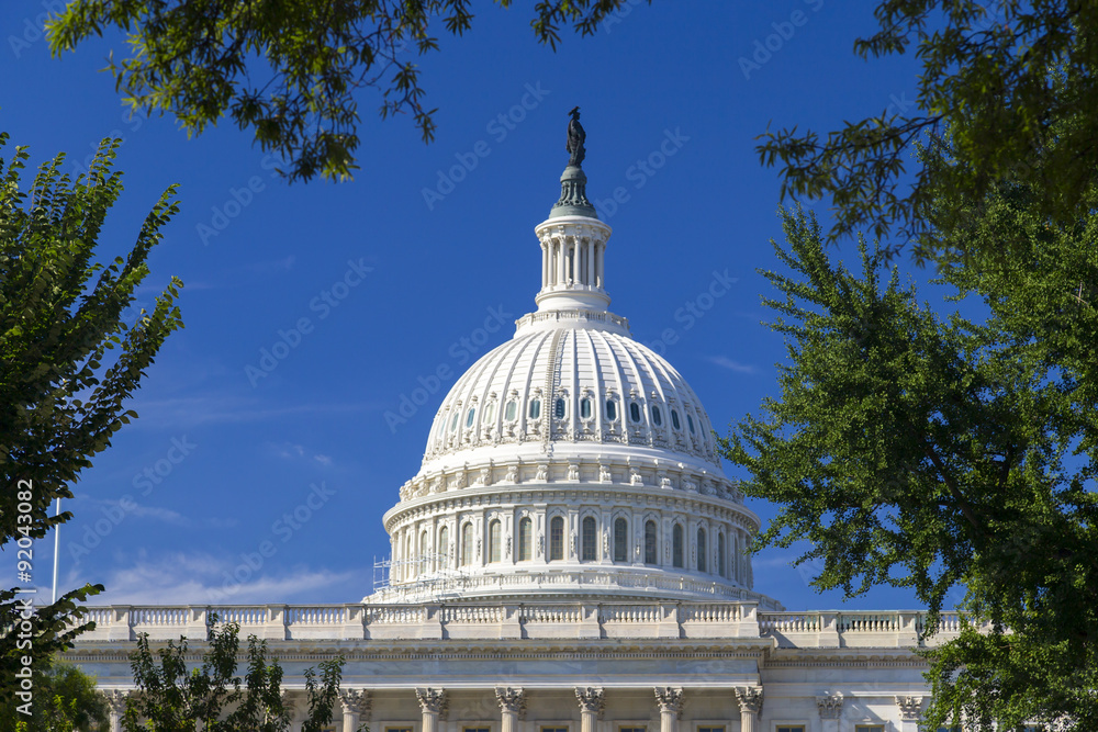 Naklejka premium Washington DC, Dome of the United States National Capitol building