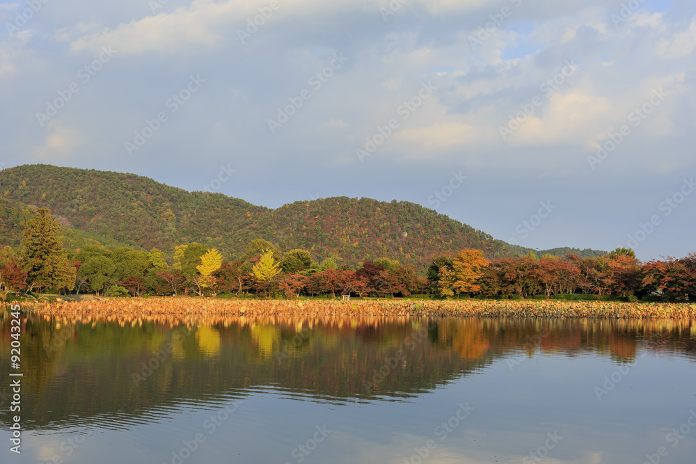 Superb view, fall color at Japan in the autumn