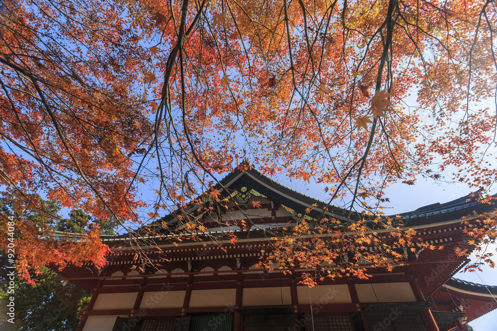 Superb view, fall color at Hieizan Enryakuji, Japan in the autum
