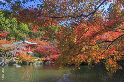 Superb view  fall color at Daigoji temple  Japan in the autumn
