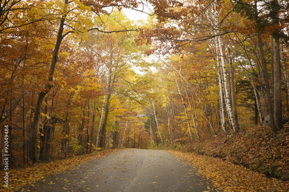 Fototapeta premium Vermont Road in Autumn