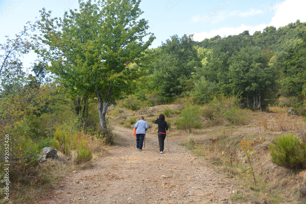 mujeres subiendo por un camino de montaña mujeres subiendo por un camino de montaña