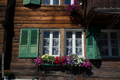 Shutters window and flowers