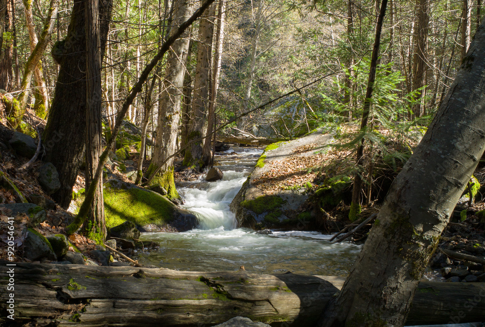 Obraz premium Stream in Yosemite