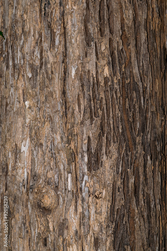 Wallpaper Mural wooden texture Torontodigital.ca
