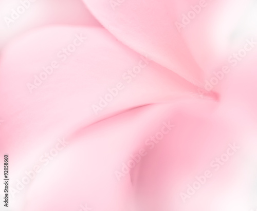 sweet flowers petal in soft style for background in soft style f