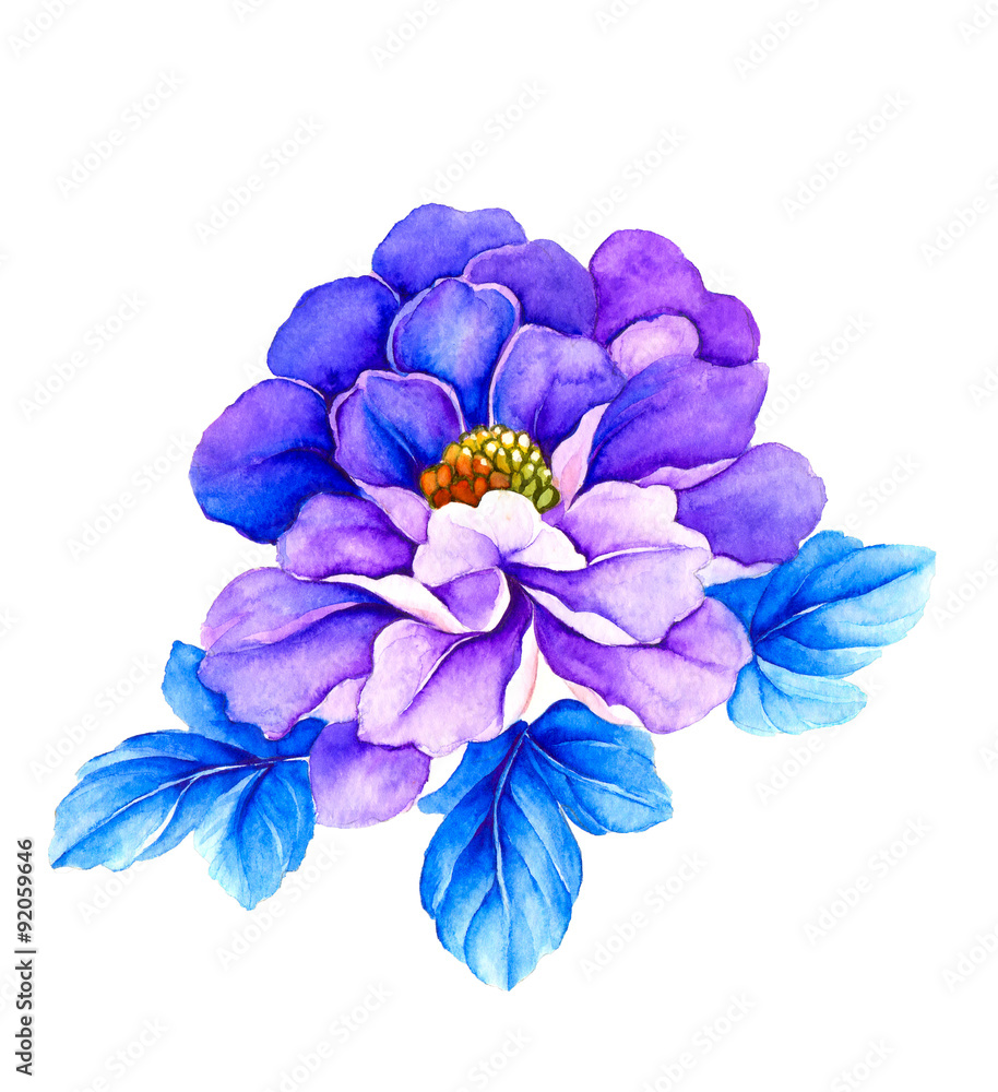 청색과 보라색의 하모니 수채화 꽃 Stock-Illustration | Adobe Stock