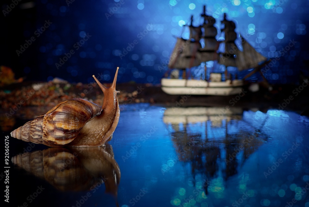 Фотография - сказка для детей. Улитка ахатина (Achatina fulica) провожает корабль. Синий цвет, яркое, необычное фото - obrazy, fototapety, plakaty 