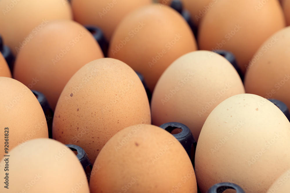fresh organic eggs from chicken farm agriculture for sale fresh organic eggs from chicken farm agriculture for sale