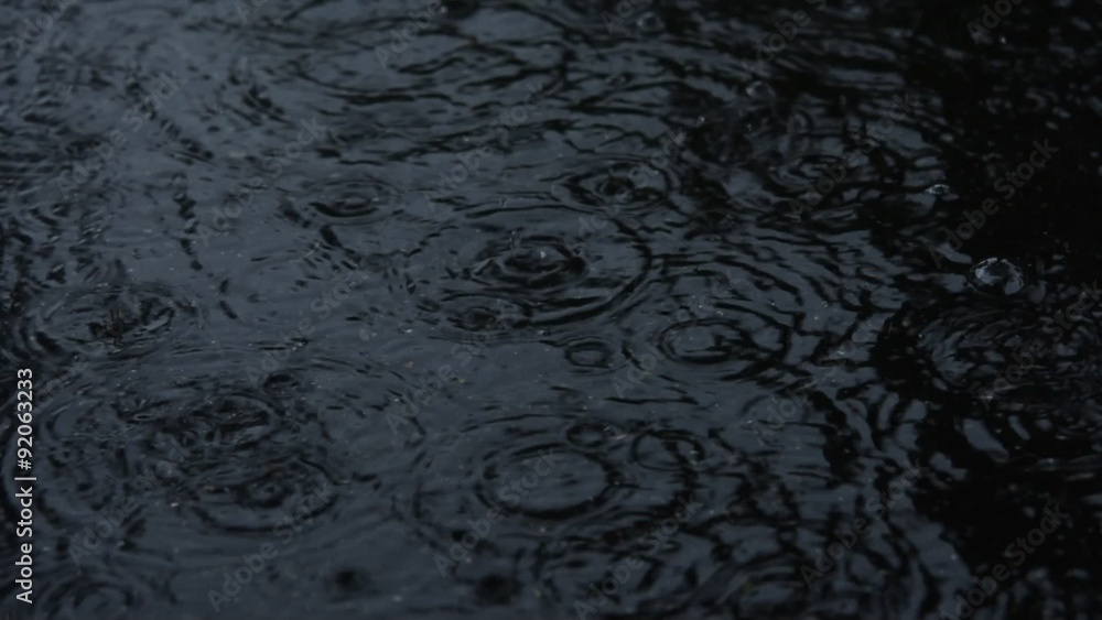 雨と水たまり 雨と水たまり