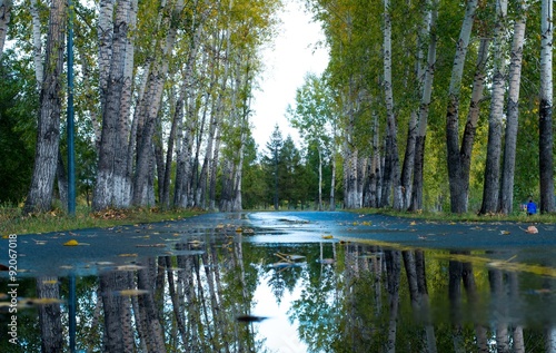 The vision of autumn in the water